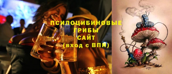 ГАЛЛЮЦИНОГЕННЫЕ ГРИБЫ Богданович