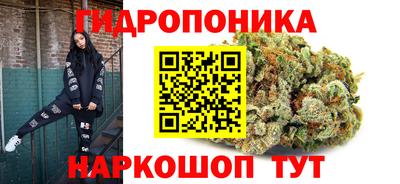 скорость Будённовск