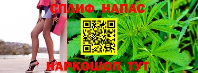 меф Гатчина
