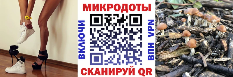 Галлюциногенные грибы мухоморы Ишимбай