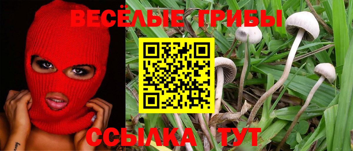 Галлюциногенные грибы Magic Shrooms  Псилоцибиновые грибы ЛСД  Вход с VPN  Ишимбай 