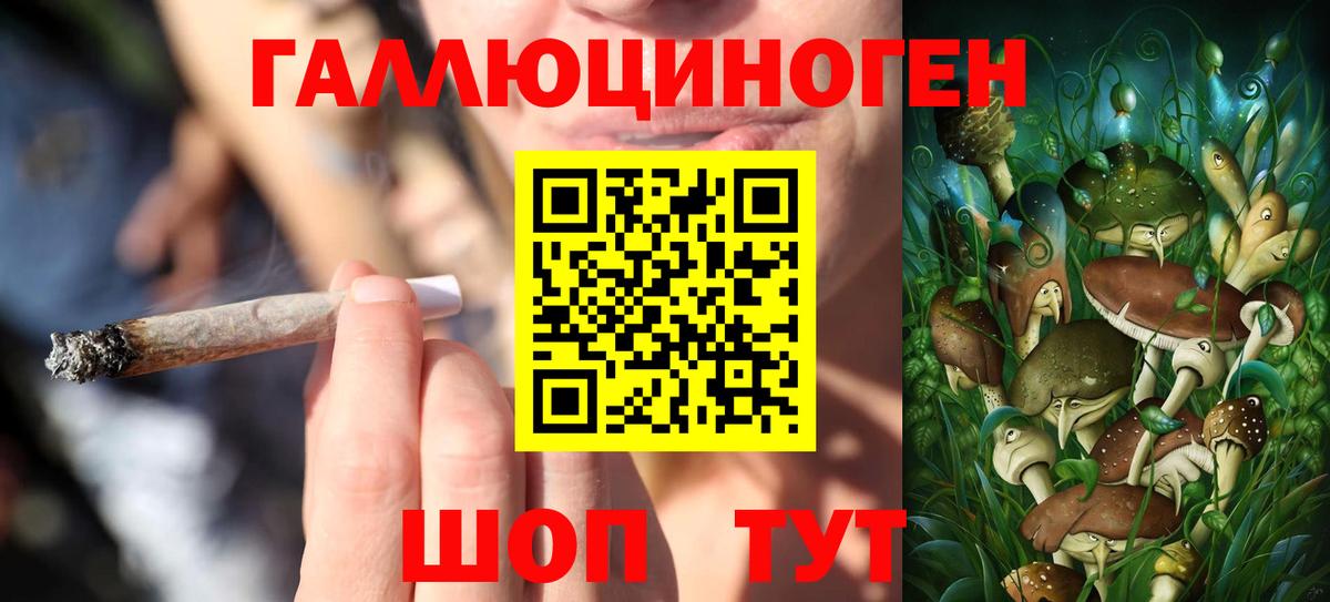 Псилоцибиновые грибы прущие грибы Ишимбай
